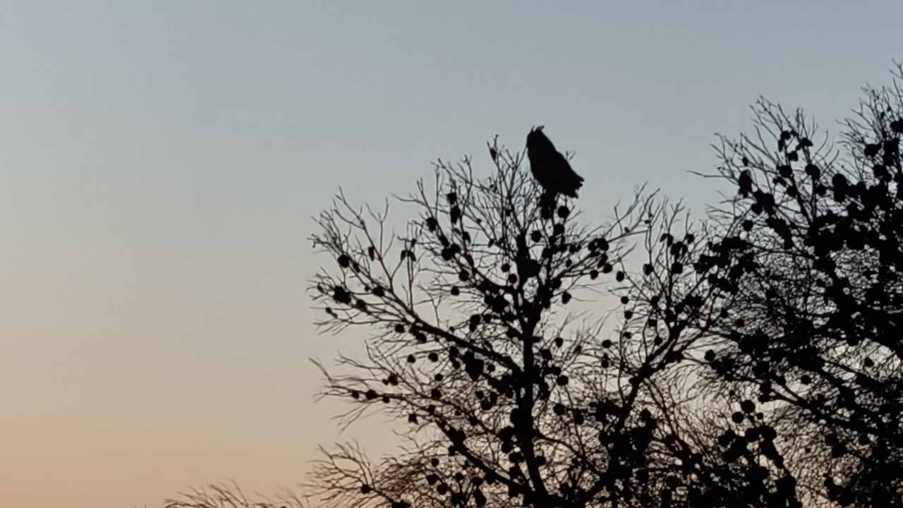 Bardenas Buggies Tour - imagen 69bac8e359df6_grande.jpg