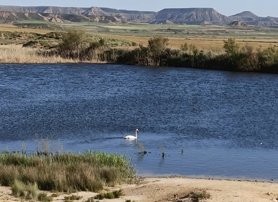 Bardenas Reales